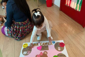 Proyecto Oso 8 – copia